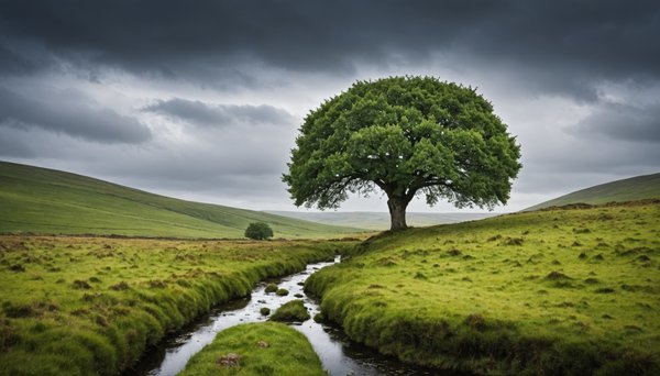 Les meilleures idées d'aménagement paysager dans les landes avec inoa paysage